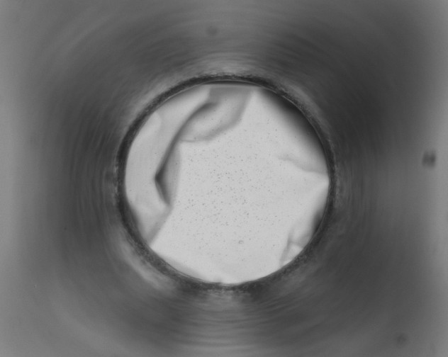 X0000113200439200910081256