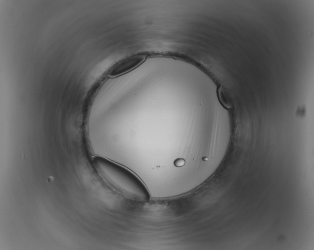 X0000113200440200910081256