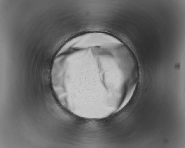 X0000113200441200910081256