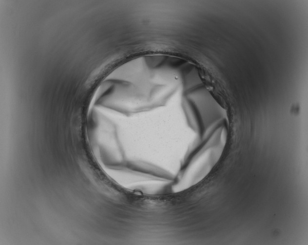 X0000113200442200910081256
