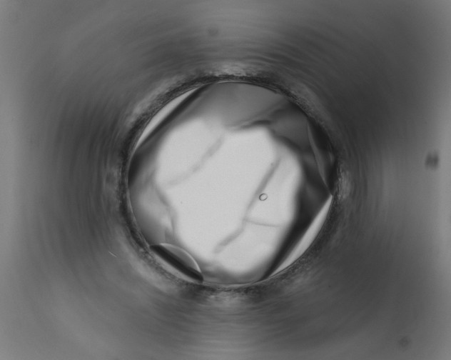 X0000113200444200910081256