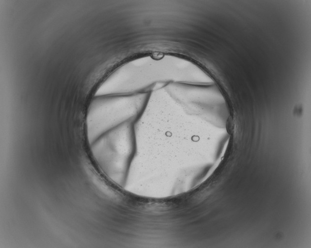 X0000113200445200910081256