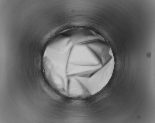 X0000113200446200910081256