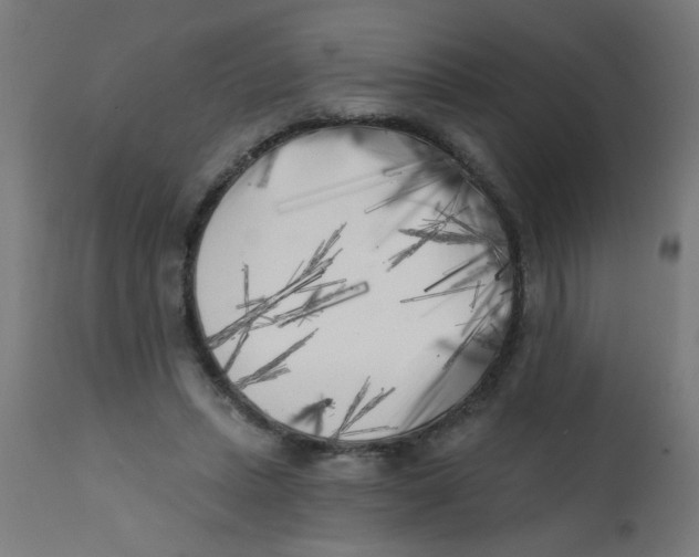 X0000113200447200910081256