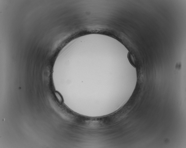 X0000113200448200910081256