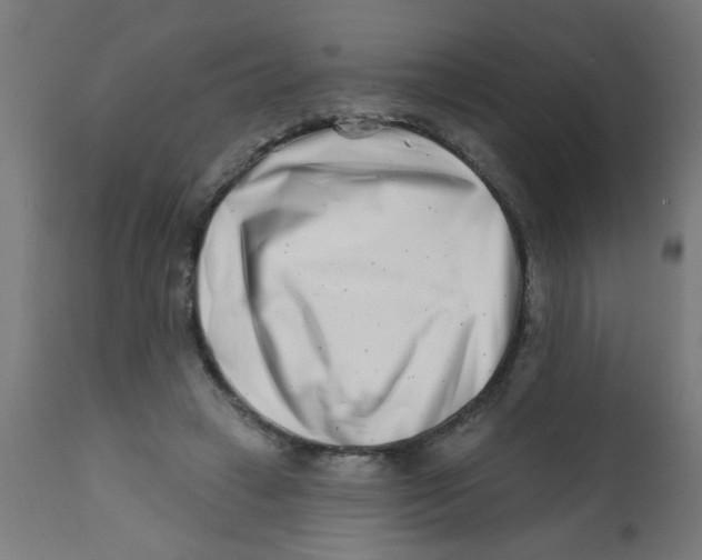X0000113200449200910081256
