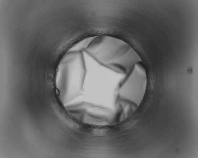X0000113200450200910081256