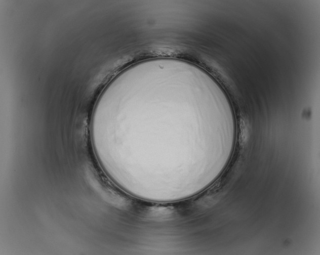 X0000113200451200910081256