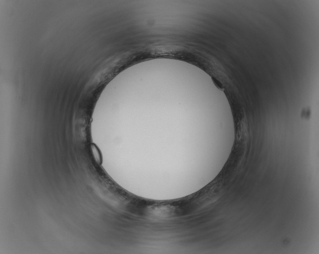 X0000113200452200910081256