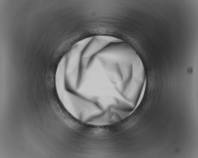 X0000113200453200910081256