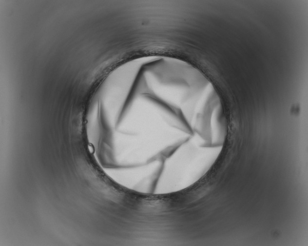 X0000113200454200910081256