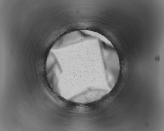 X0000113200455200910081256