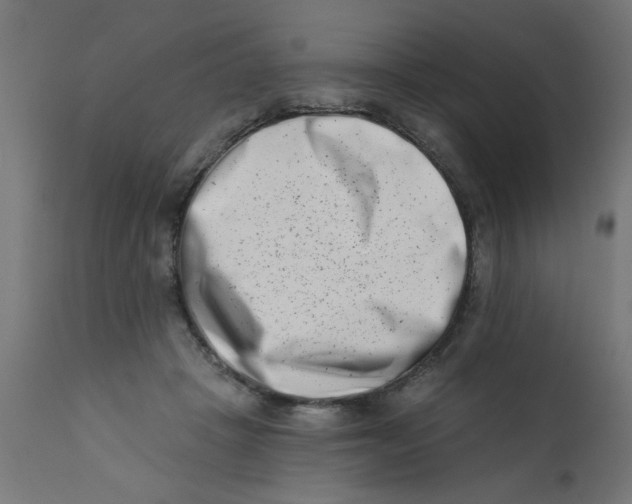 X0000113200457200910081256
