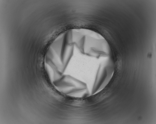 X0000113200458200910081256