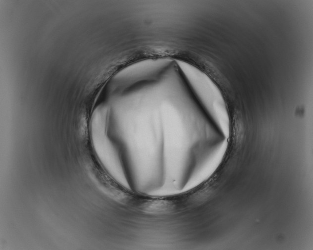 X0000113200459200910081256