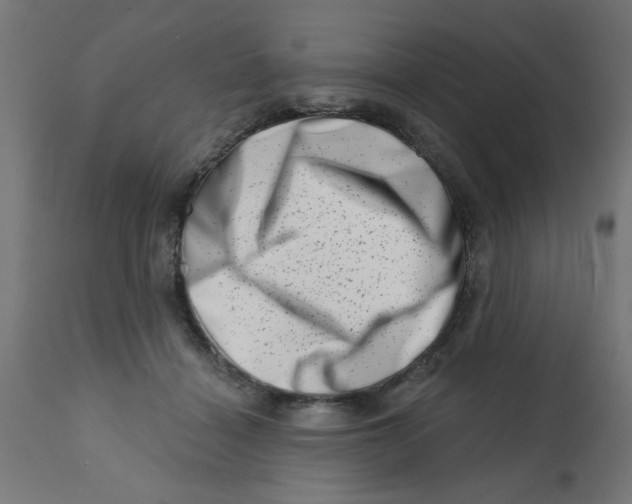 X0000113200460200910081256