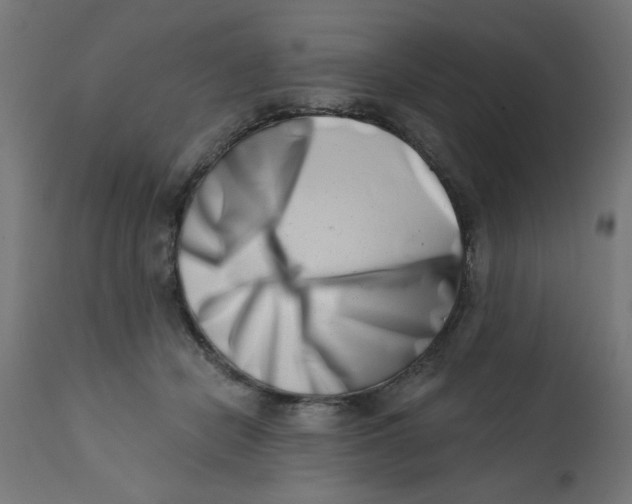 X0000113200462200910081256