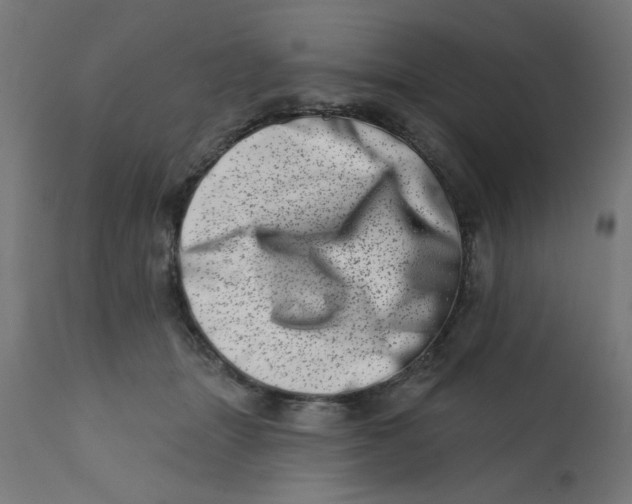 X0000113200463200910081256