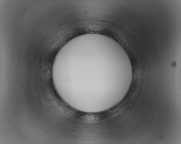 X0000113200464200910081256