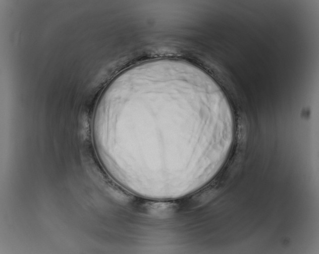 X0000113200465200910081256