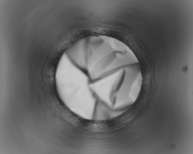 X0000113200466200910081256