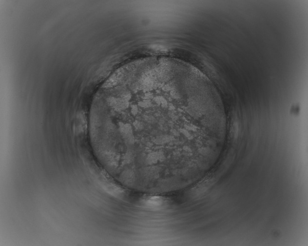 X0000113200467200910081256