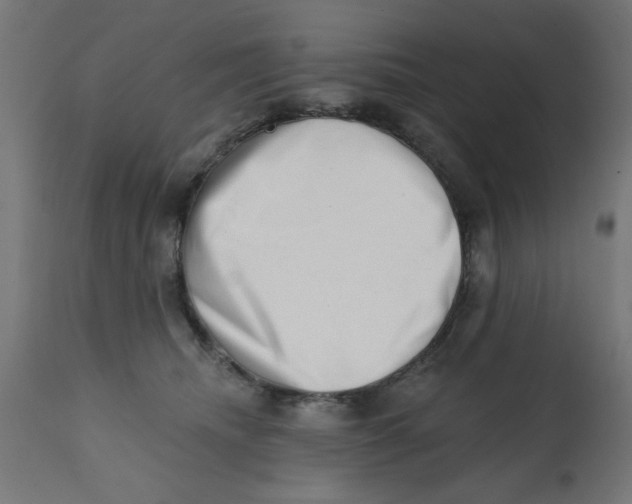 X0000113200468200910081256
