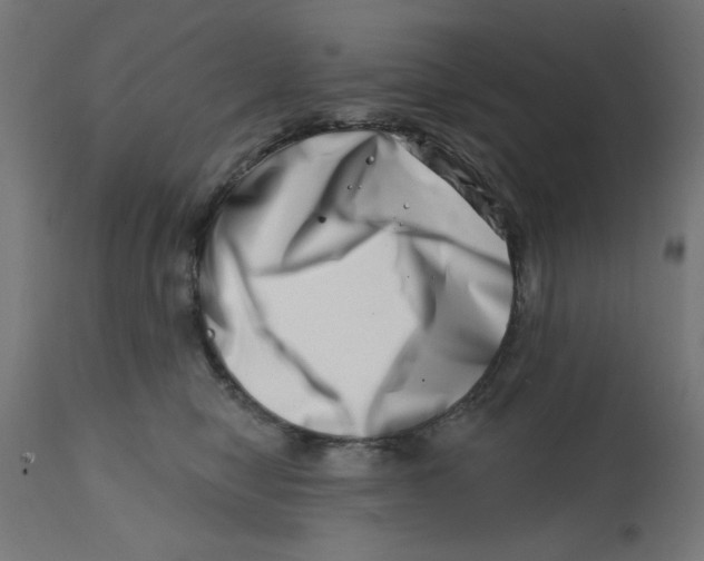 X0000113200470200910081256