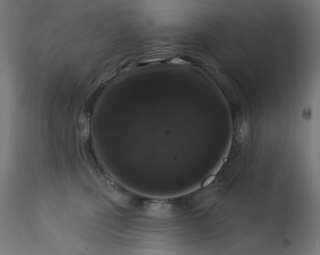 X0000113200471200910081256