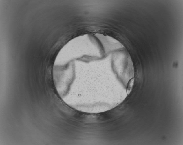 X0000113200473200910081256