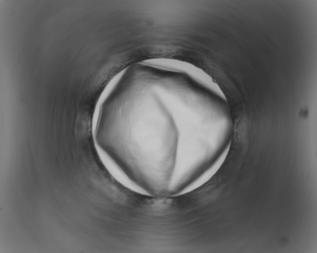 X0000113200474200910081256