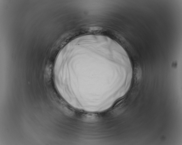 X0000113200475200910081256