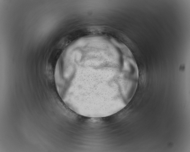 X0000113200477200910081256