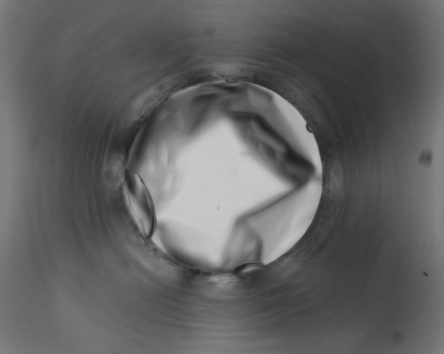 X0000113200478200910081256