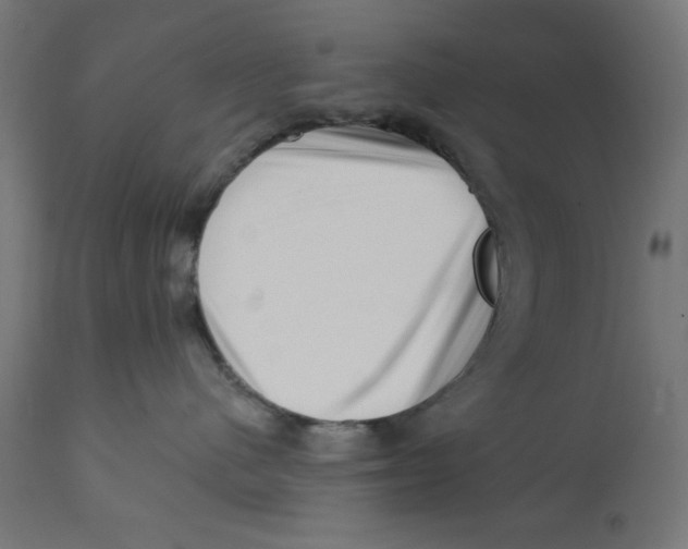 X0000113200480200910081256