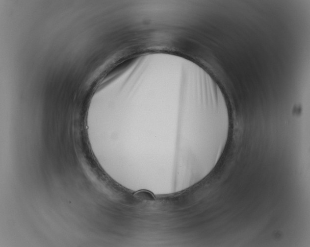 X0000113200482200910081255