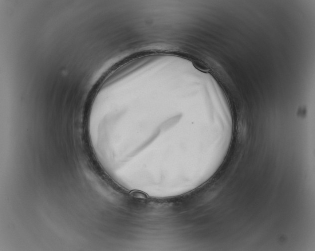 X0000113200484200910081255