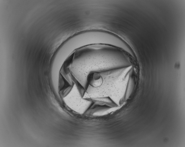 X0000113200485200910081255