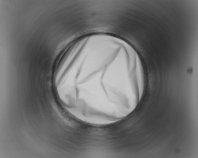 X0000113200486200910081255