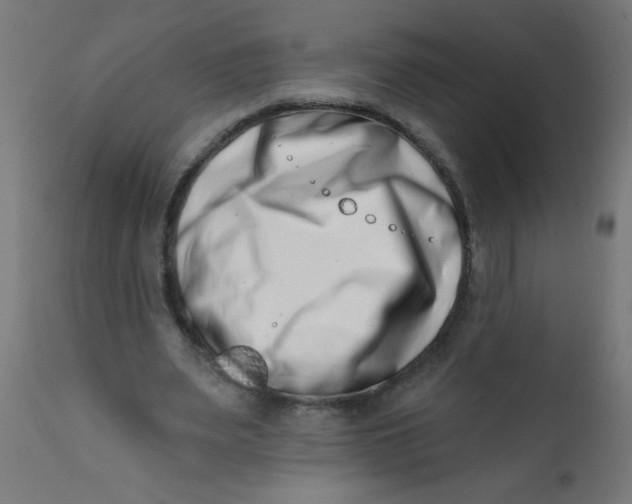 X0000113200487200910081255
