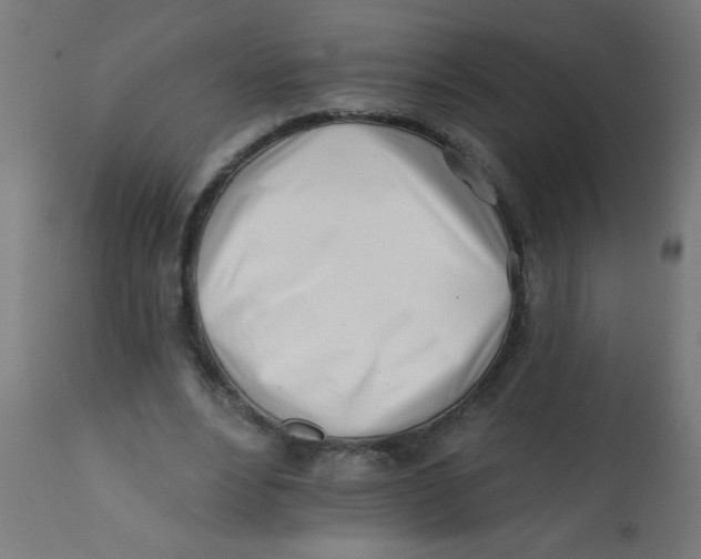 X0000113200488200910081255