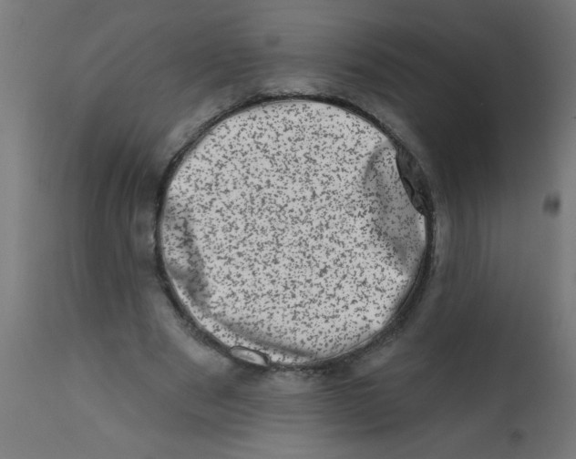 X0000113200489200910081255