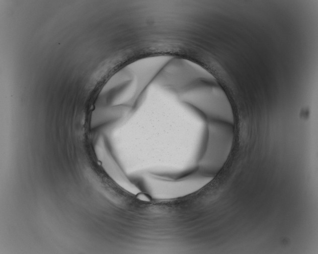 X0000113200490200910081255