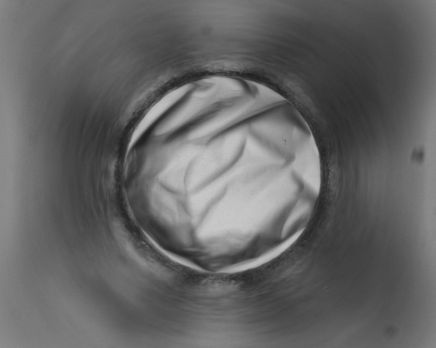 X0000113200491200910081255