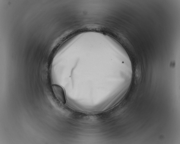 X0000113200492200910081255