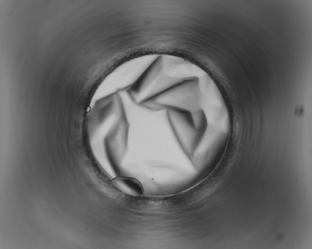 X0000113200493200910081255