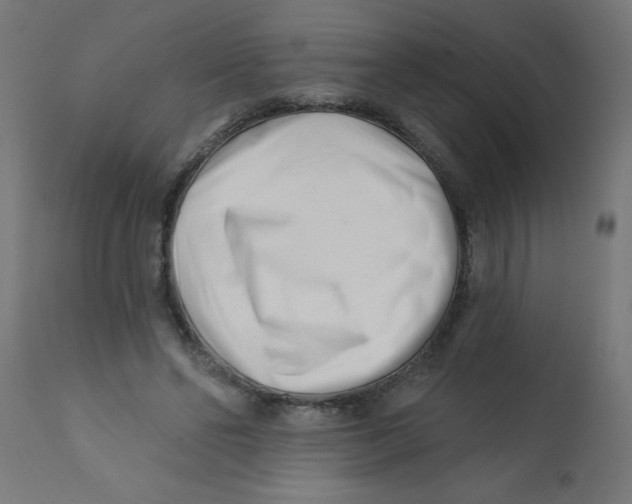 X0000113200494200910081255