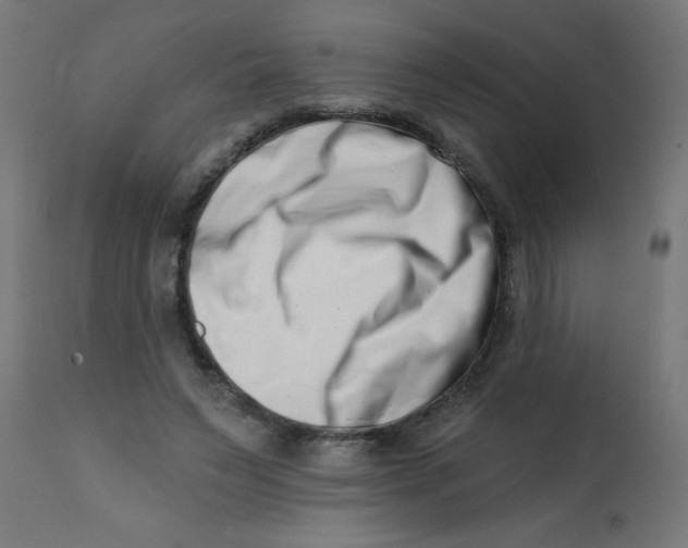 X0000113200495200910081255