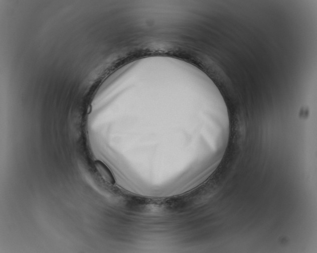 X0000113200496200910081255
