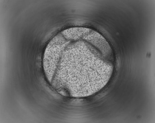 X0000113200497200910081255